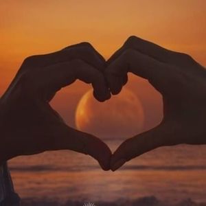 Meet your Posher, Rachelle